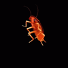 arjhootieo's avatar