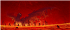 RedGnome's avatar