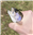 MastR_BlastR's avatar