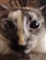 Kydric_Bane's avatar