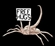 chrisg73's avatar
