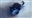 elona1's avatar