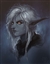 49080's avatar