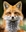 divinedomain's avatar