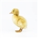 Sir_Quack1's avatar