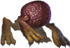 kiwizard's avatar