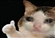 GamerDzha's avatar