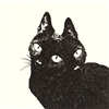 Maeerht's avatar