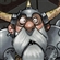 Sturm78's avatar