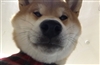 poppyavenue's avatar