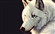 Alexanderwolves's avatar
