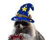 SlyCorey's avatar