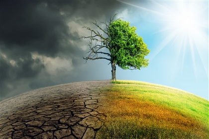 Balance In Life And Death Image
