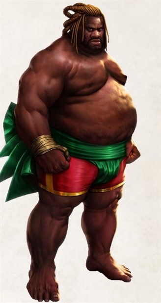 Way Of Sumo Image