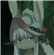 UristMcNanachiTheVandal's avatar