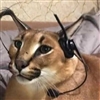 SirMegglesworth's avatar