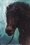 BillthePony's avatar