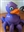 jackaharrisii's avatar
