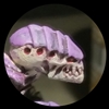 Yeetcoeschann's avatar