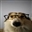 Hasnof's avatar