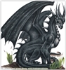 Nowynono's avatar
