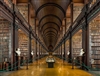 The_Library_of_Insight's avatar