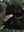 MonkeyMan8675's avatar