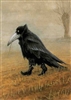 RookCarver's avatar
