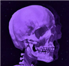 Solangelo_SPQR's avatar