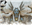 MRFINN787's avatar