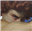 dataphyte's avatar