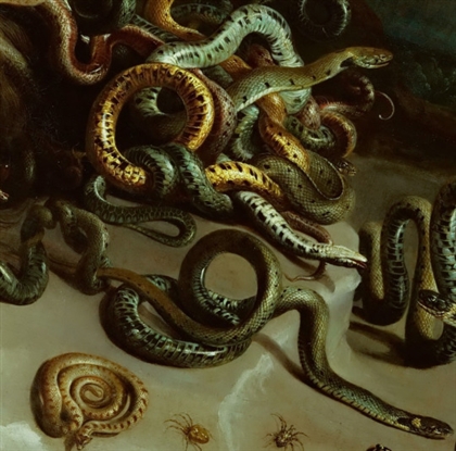Circle Of The Swarm Image