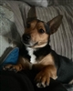 caseyxmarie's avatar