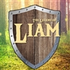 Th3LegendOfLiam's avatar
