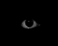 shadowcrawfish_2's avatar