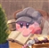 AcetriVee's avatar