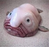 newcoders's avatar