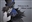 Storm809's avatar