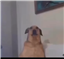BevinBradshaw's avatar
