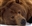 FuzzyBillDD's avatar