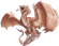 NathanAndTheWyvern's avatar