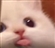 Rabbixxy's avatar