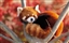 MrsScaryPanda's avatar
