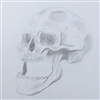 Plazma1082's avatar