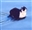 Leguff's avatar