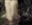 Oaks_n_Logs's avatar