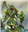 Mjsloan28's avatar