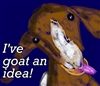 deshift's avatar