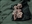 Aetherian_Potato's avatar