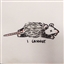 IskierkaKazalik's avatar